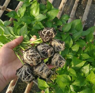 QQ截图20200924165319.jpg QQ截图20200924165319.jpg